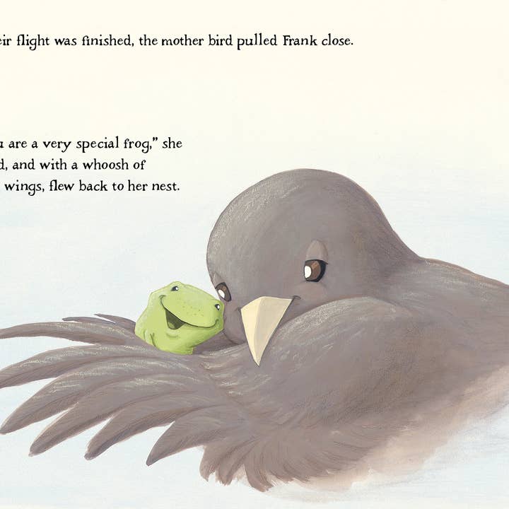 REMOVED BRAND - Wholesale Preschool Book (3-5) - A Frog Thing7