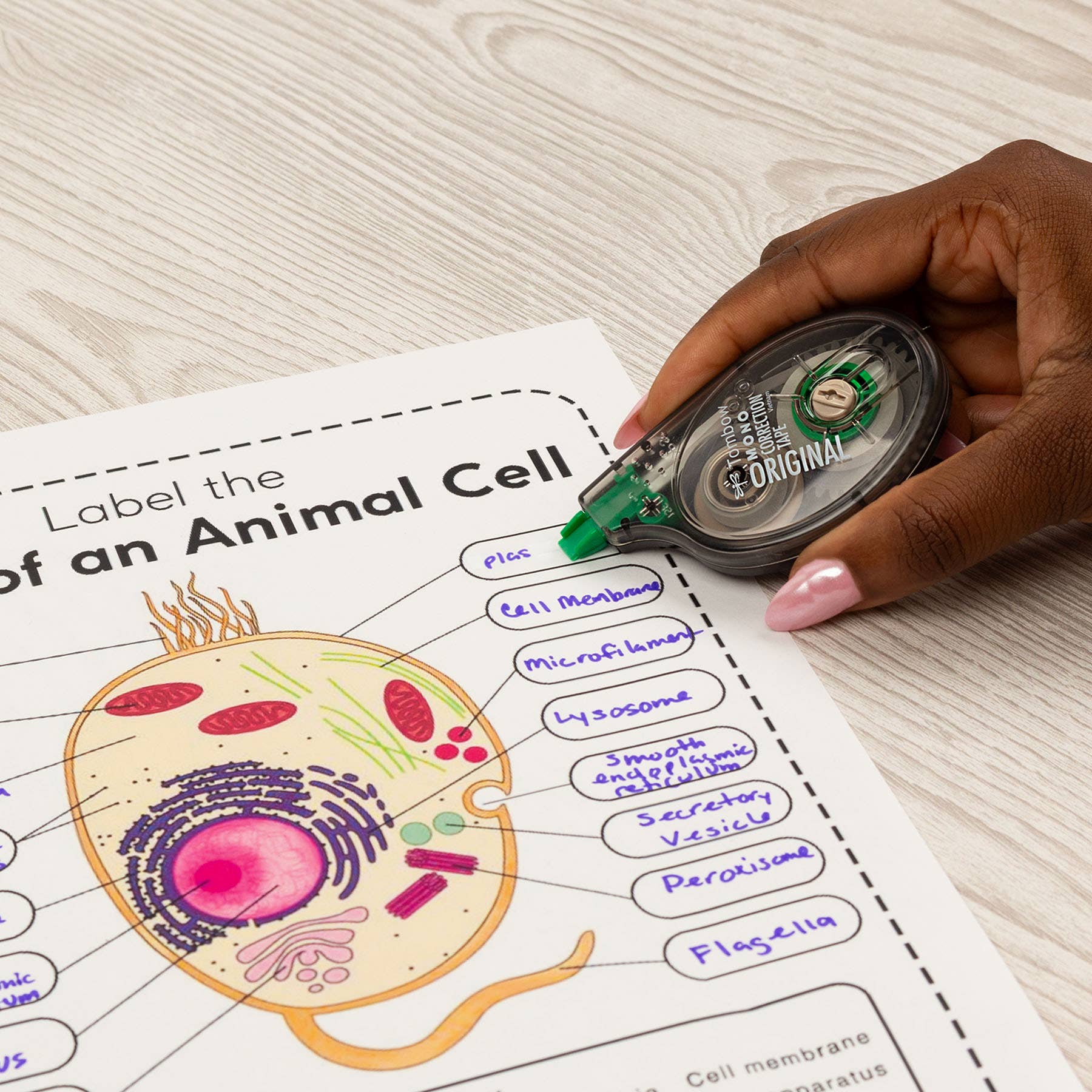 Tombow - Wholesale Tape - MONO Correction Tape Original, 2 Pack9