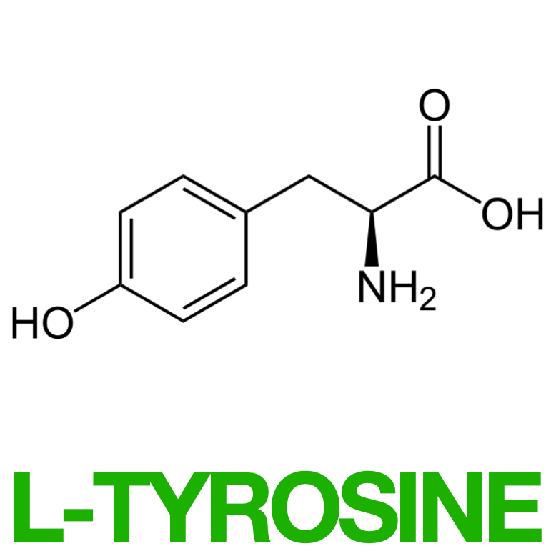 Eat Gold Organics - Wholesale Chocolate Bar - BE HAPPY a Potent, Functional & Delicious Chocolate Bar6