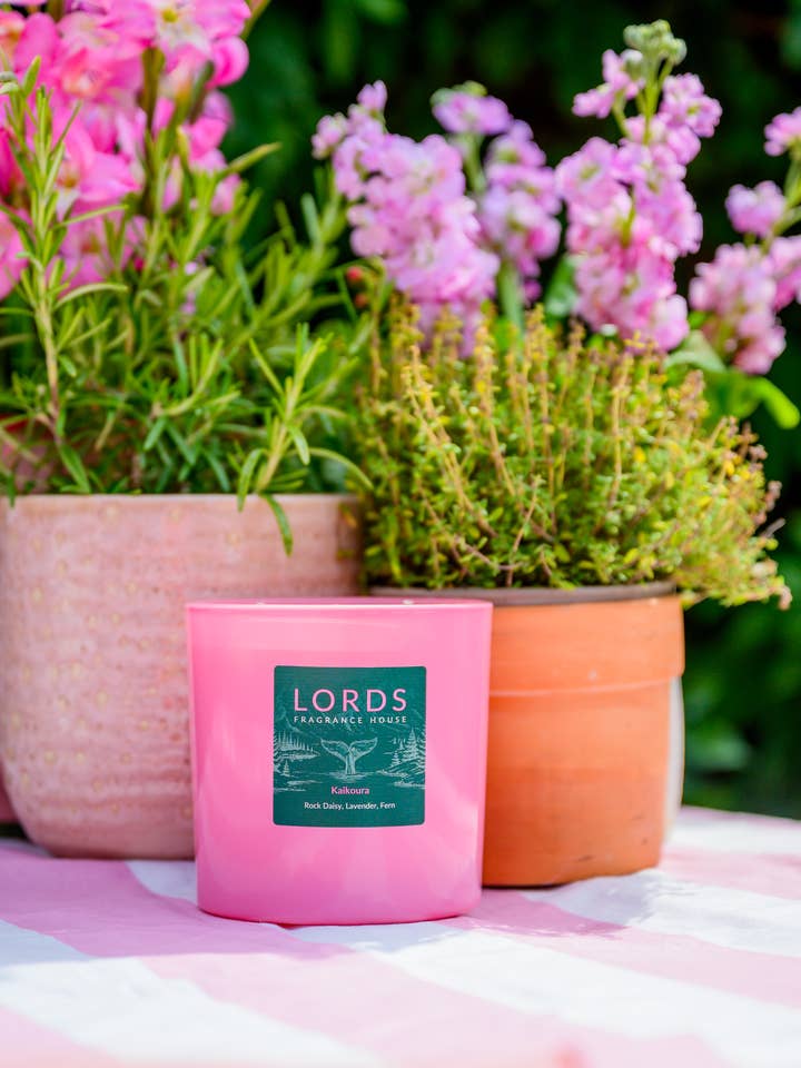 Kaikoura Triple Wick Candles | Big Candles | Large Candles for wholesale by LORDS Fragrance House