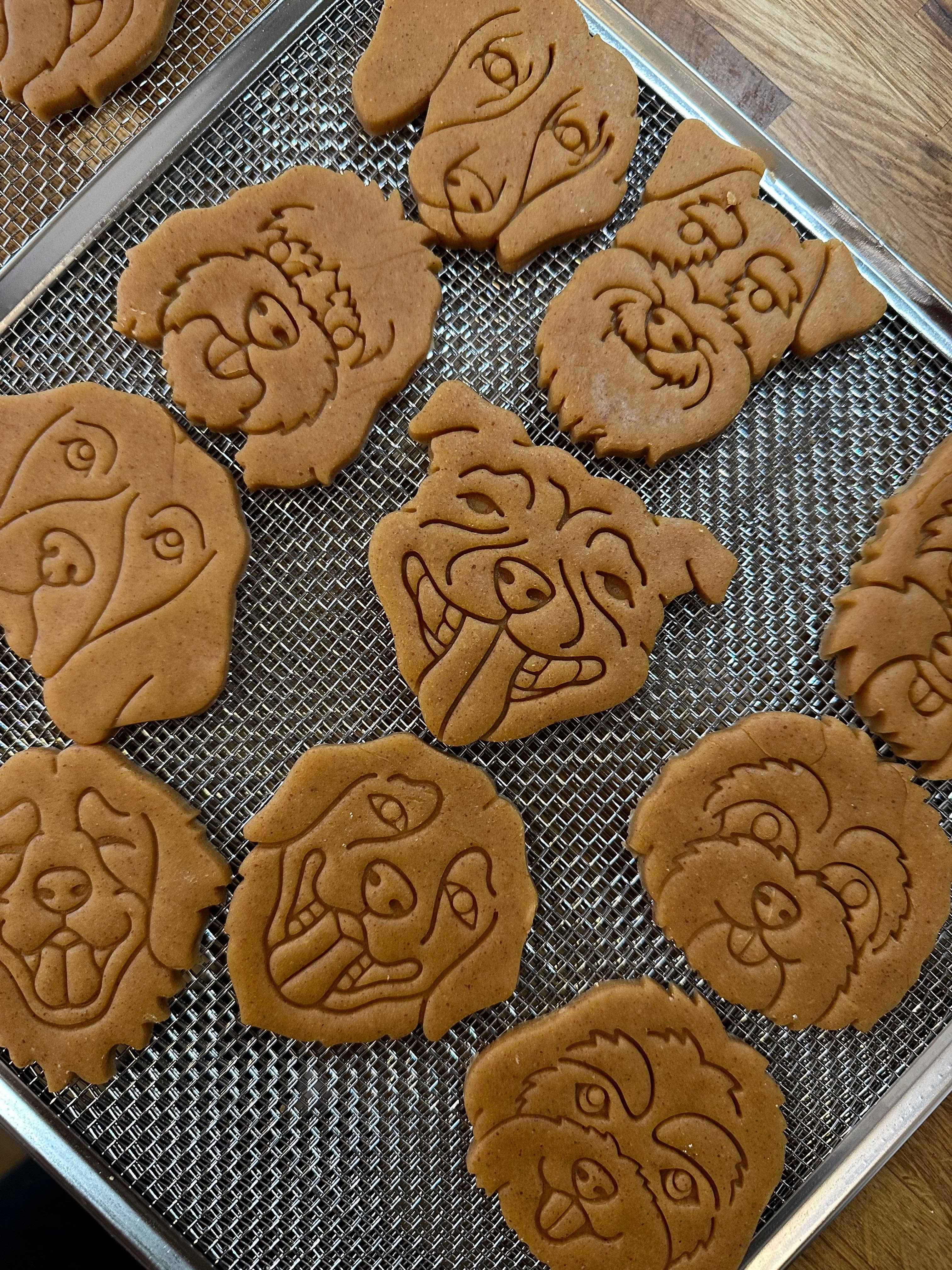 The Dog Shack - Vente Biscuits – chien - Biscuits pour chiens en forme de beurre de cacahuète sans céréales45