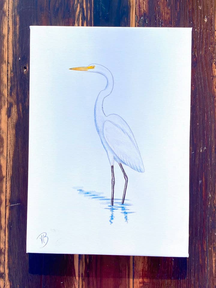 Great Egret Canvas Print for wholesale by Streetlightbirds