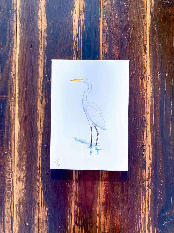 Canvasprint van Great Egret voor wholesale door Streetlightbirds