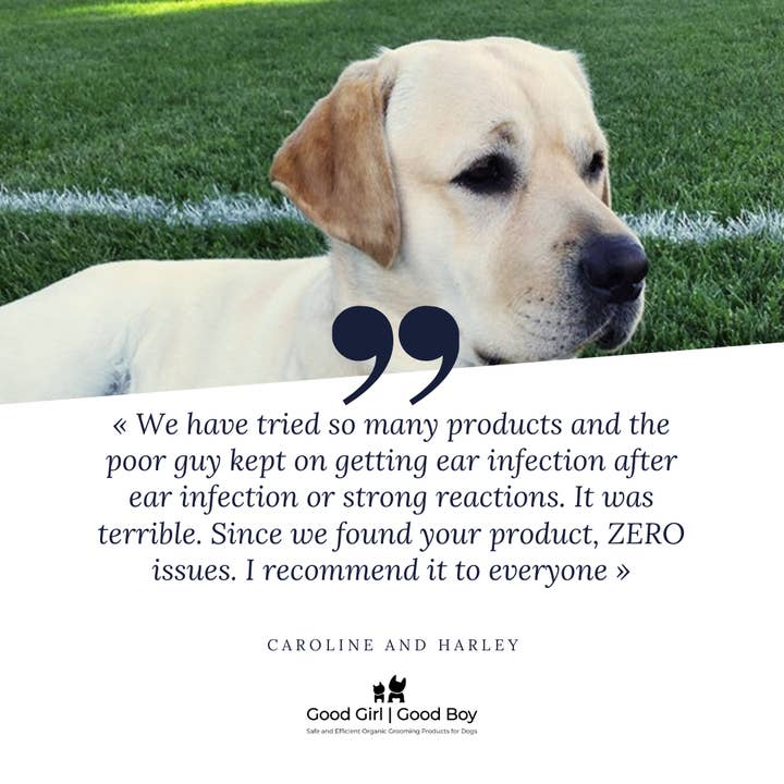 Good Girl Good Boy Inc. – Großhandel Haustierreinigung – Organischer Hunde-Ohrreiniger2