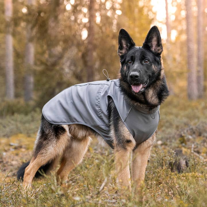 FINNERO - Wholesale Pet Jacket - Dog - UPGRADED MODEL! FINNERO SPORT Softshell Jacket for dogs6
