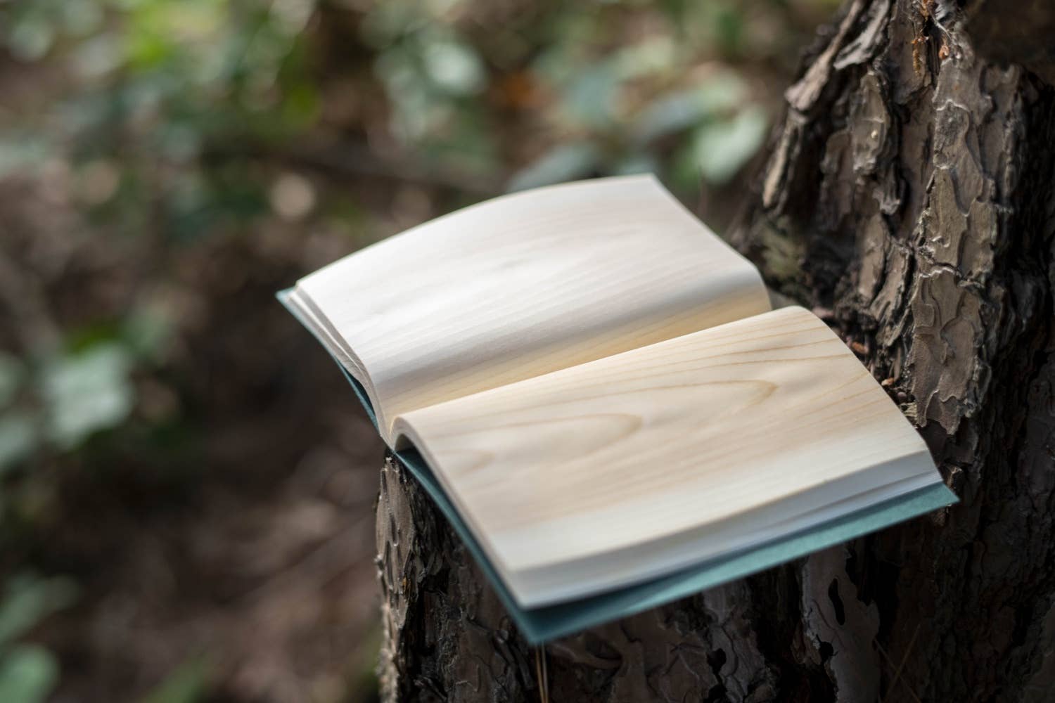 House of Shokunin - Wholesale Journal/Diary - Handcrafted Wood leaf journal, Birthday Gift, Gift for Dad, Gift for Grandpa, Handcrafted Handy Journal, Handmade Journal Hand shaved Journal2