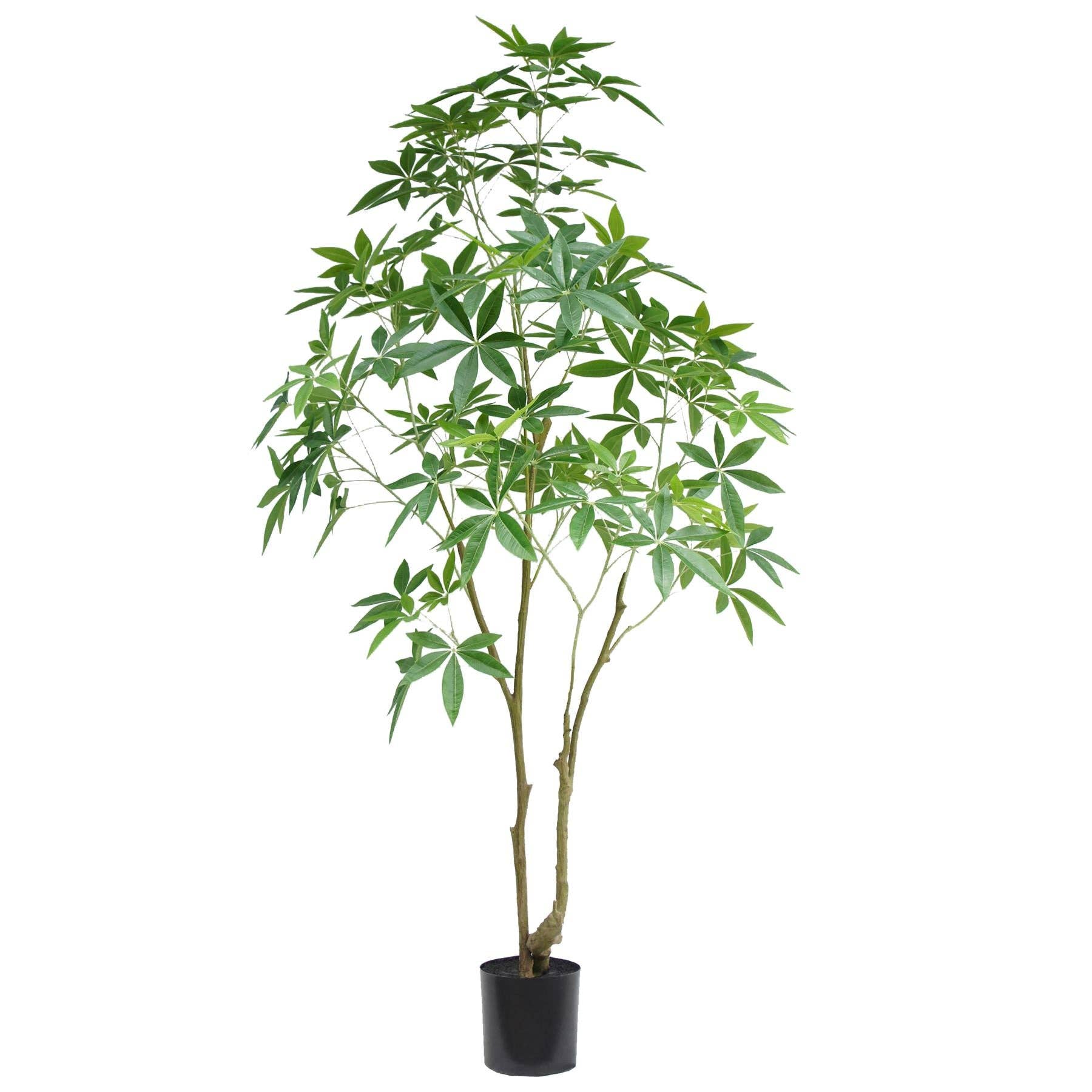 Leaf Design UK LTD – wholesale Artificial plant – 210cm Artificial Money Tree Pachira Realistic Faux Tree0