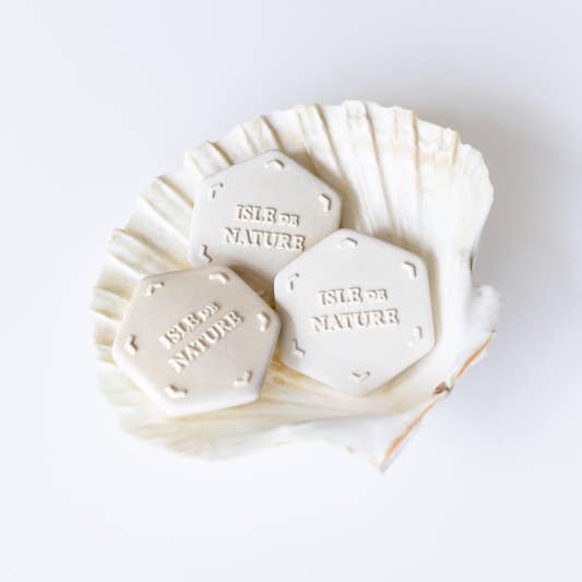 Isle de Nature - Wholesale Fragrance Booster - The Scent Coin7