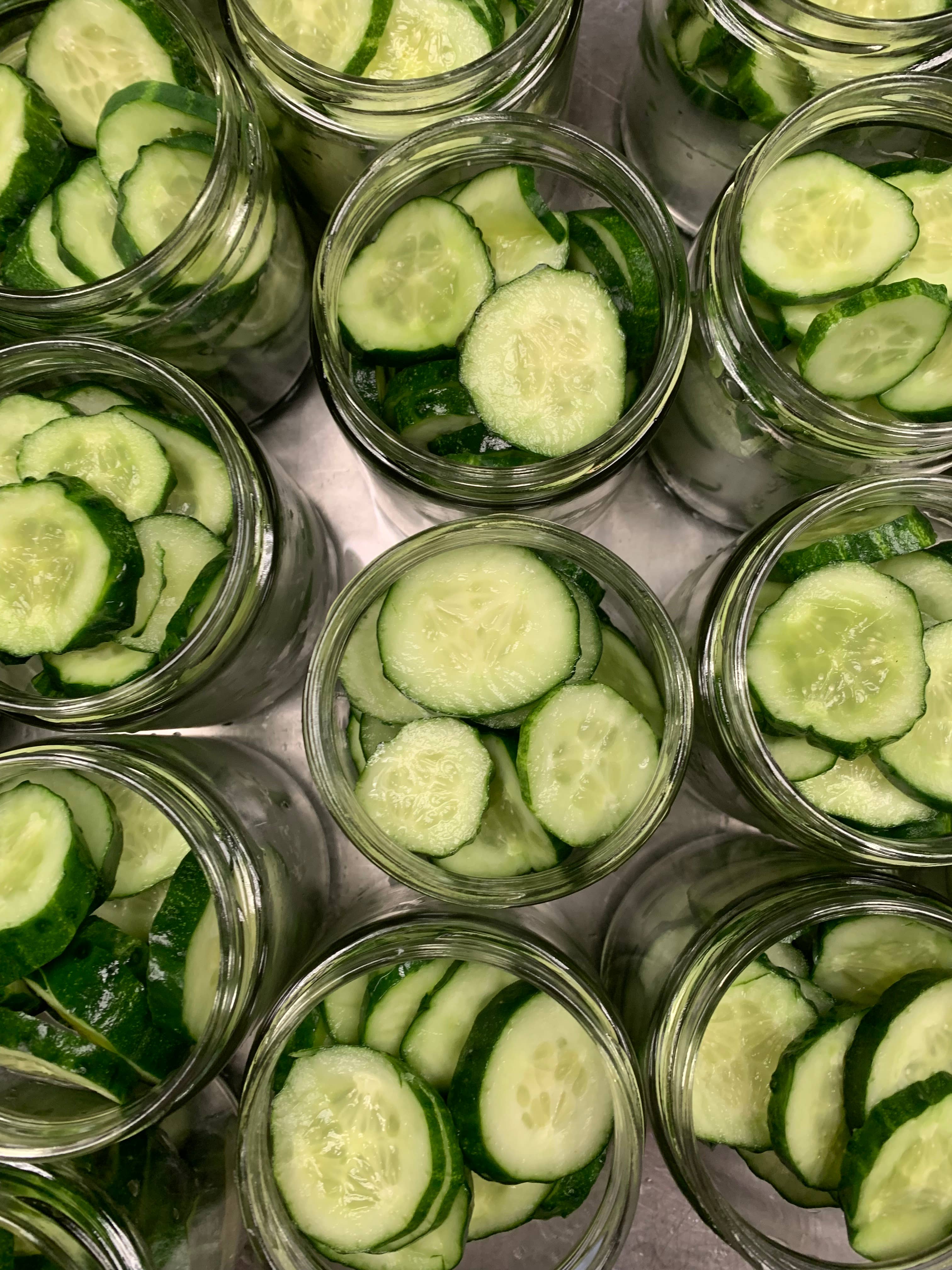 Hornsby Farms - Wholesale Pickled Vegetables - Dill Pickles1