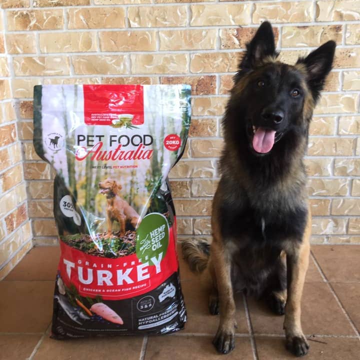 Pet Food Australia - Vendita all'ingrosso Cibo - Cani - Cibo per cani senza cereali, per canguri e pesci oceanici, prodotto in Australia