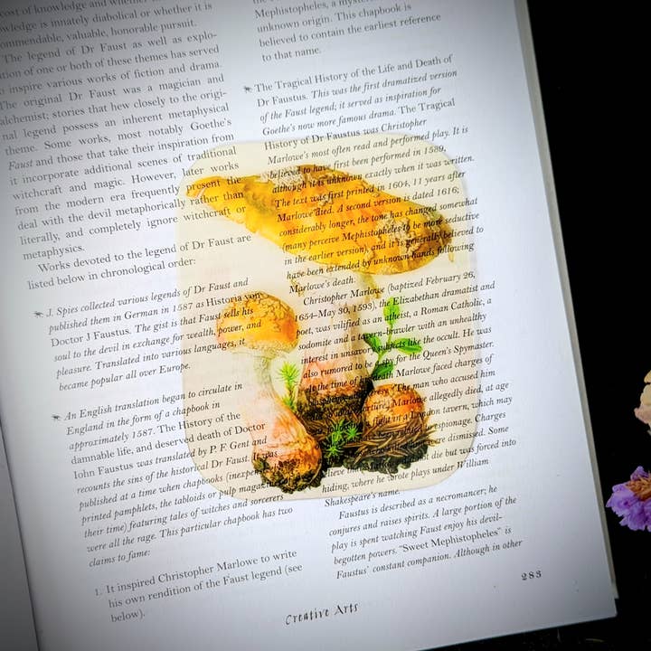 Marcapáginas transparente - Amanita Rubescens Rubescens para venta al por mayor de Dark Veinlet