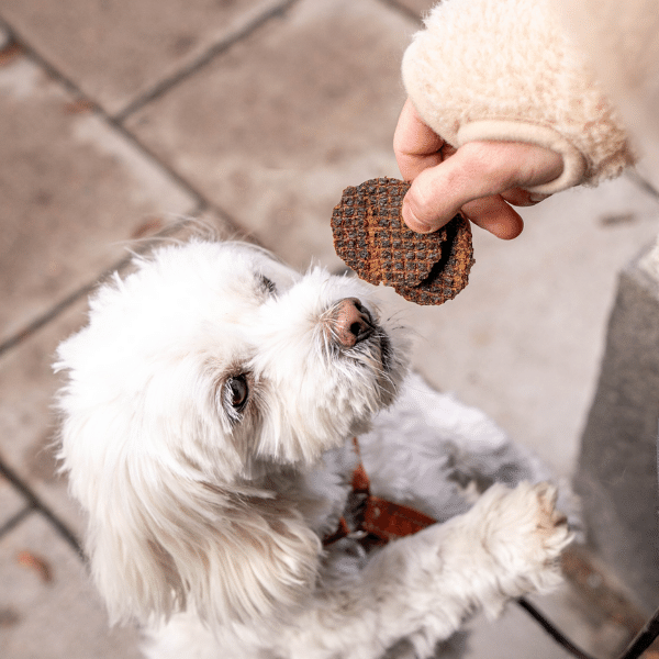 Buddy Pet Foods - Wholesale Pet Treats - Dog - Meaty Burgers - Venison (Deer Burgers) 100g1