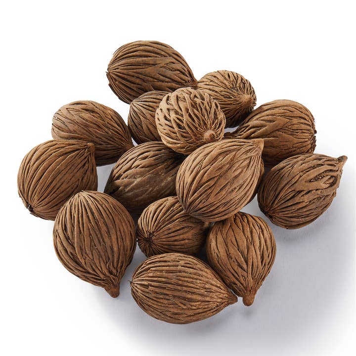Maison - Wholesale Dried/Pressed Flowers - Vase & Bowl Fillers - Mini Mintola Balls