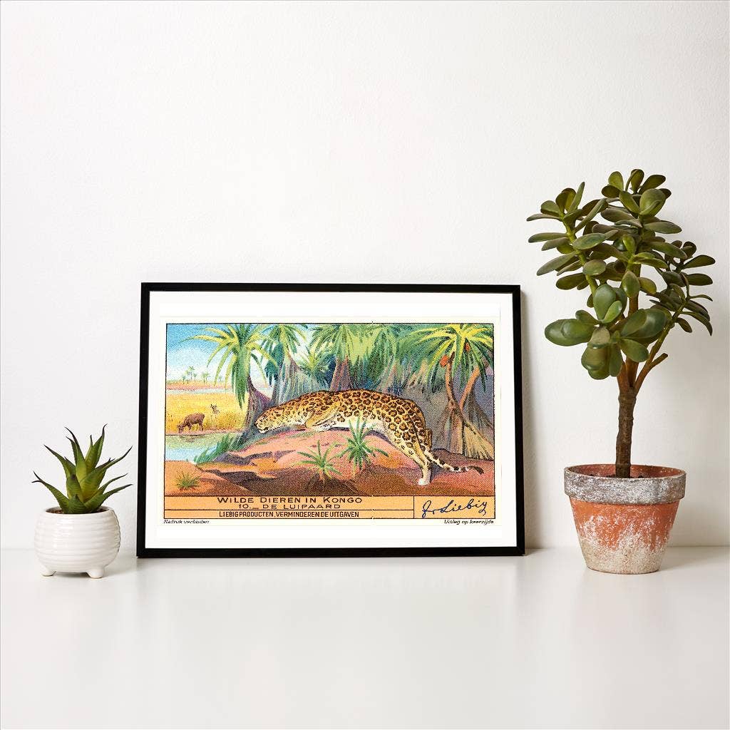 Found Image Press - Wholesale Art Print - Art Print AN-231 Leopard in the Congo1