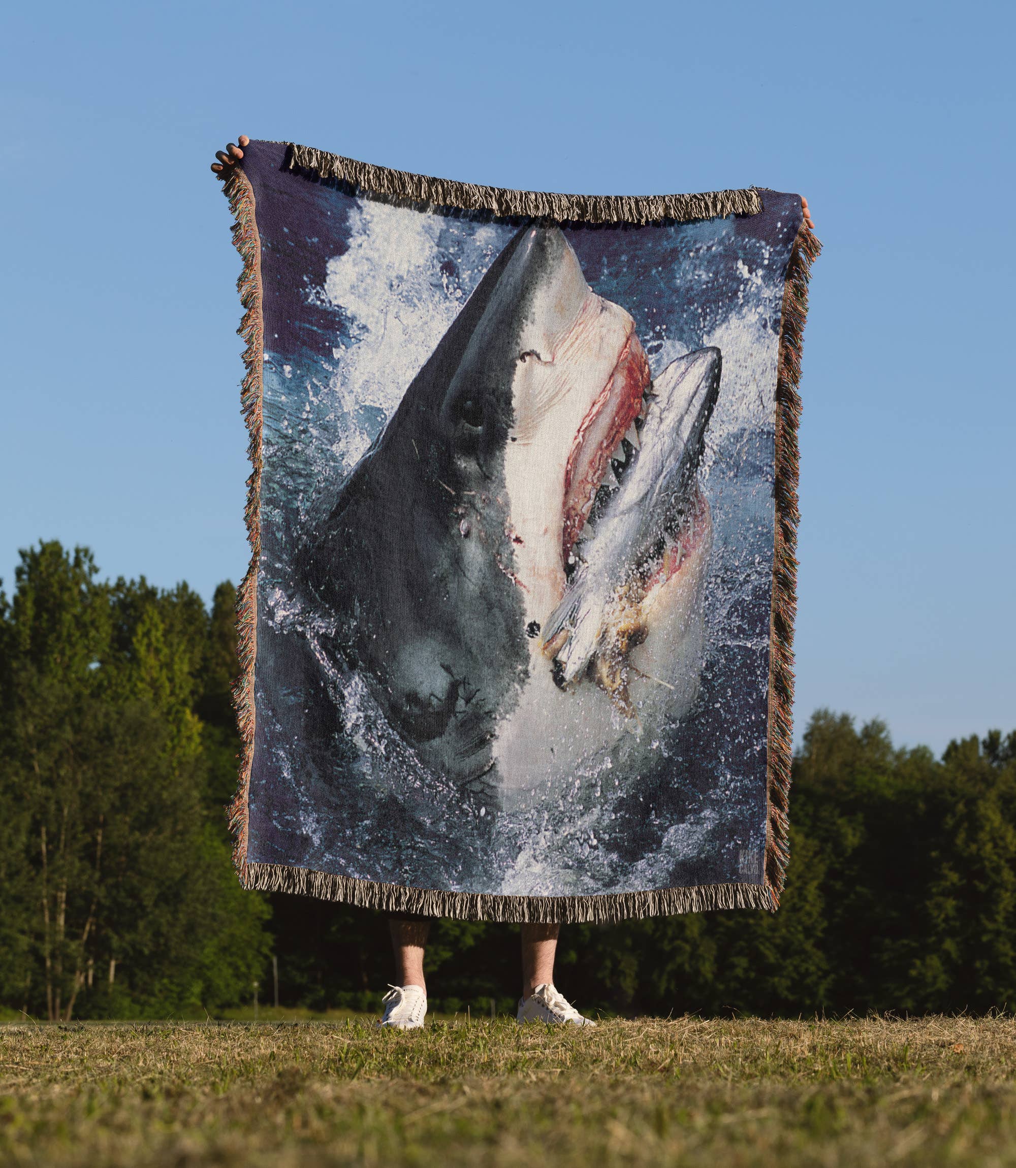 3dRose - Wholesale Throw Blanket - 3dRose, Great White Shark, Blanket1