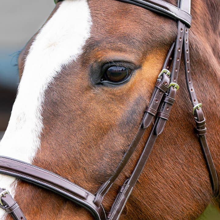 Grewal Equestrian - Wholesale Horseback Riding Gear - Marco Simone Italian Monocrown Bridle with Removeable Flash
