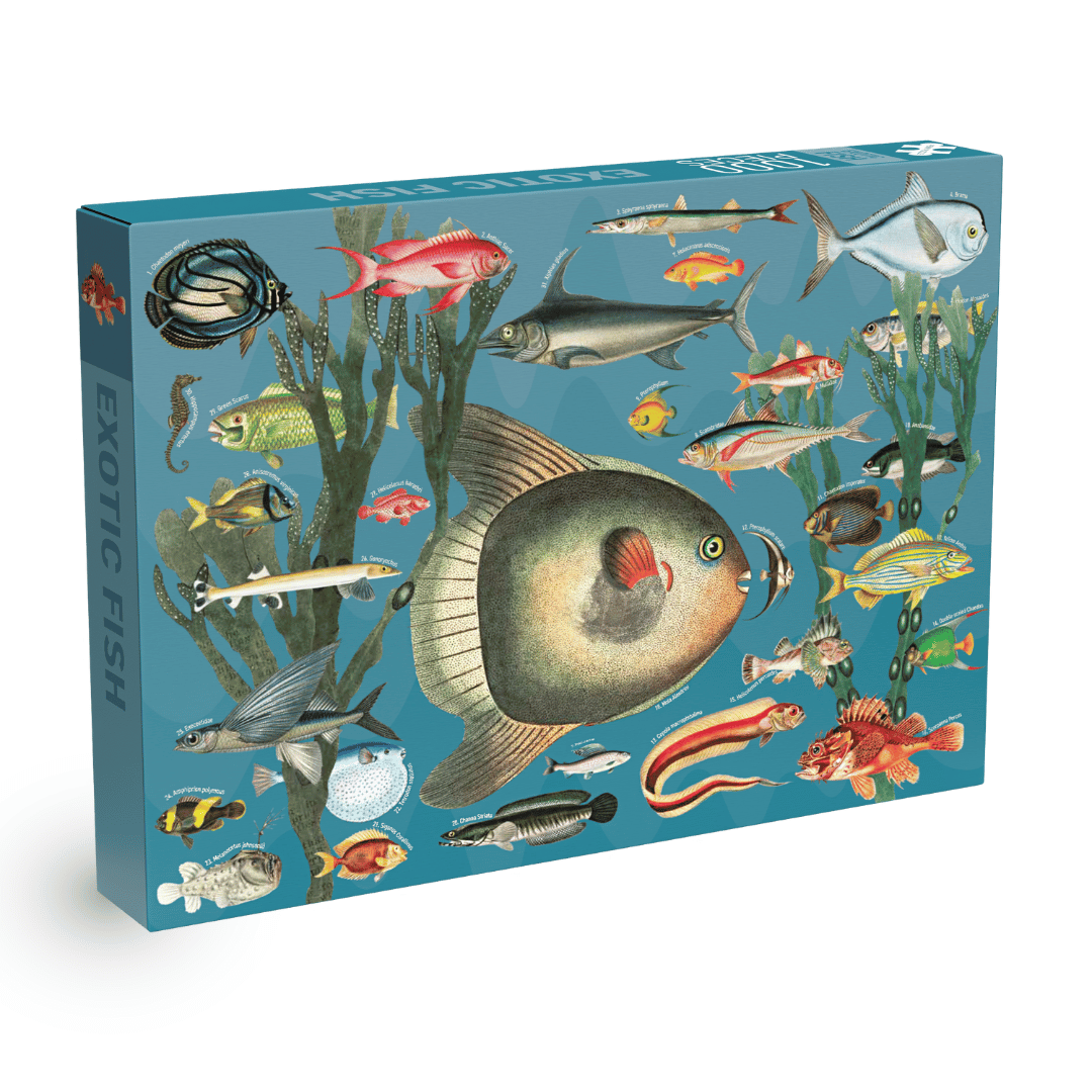 Penny Puzzle – wholesale Puzzle – Adult – Exotic Fish 1000 piece Vintage jigsaw puzzle0