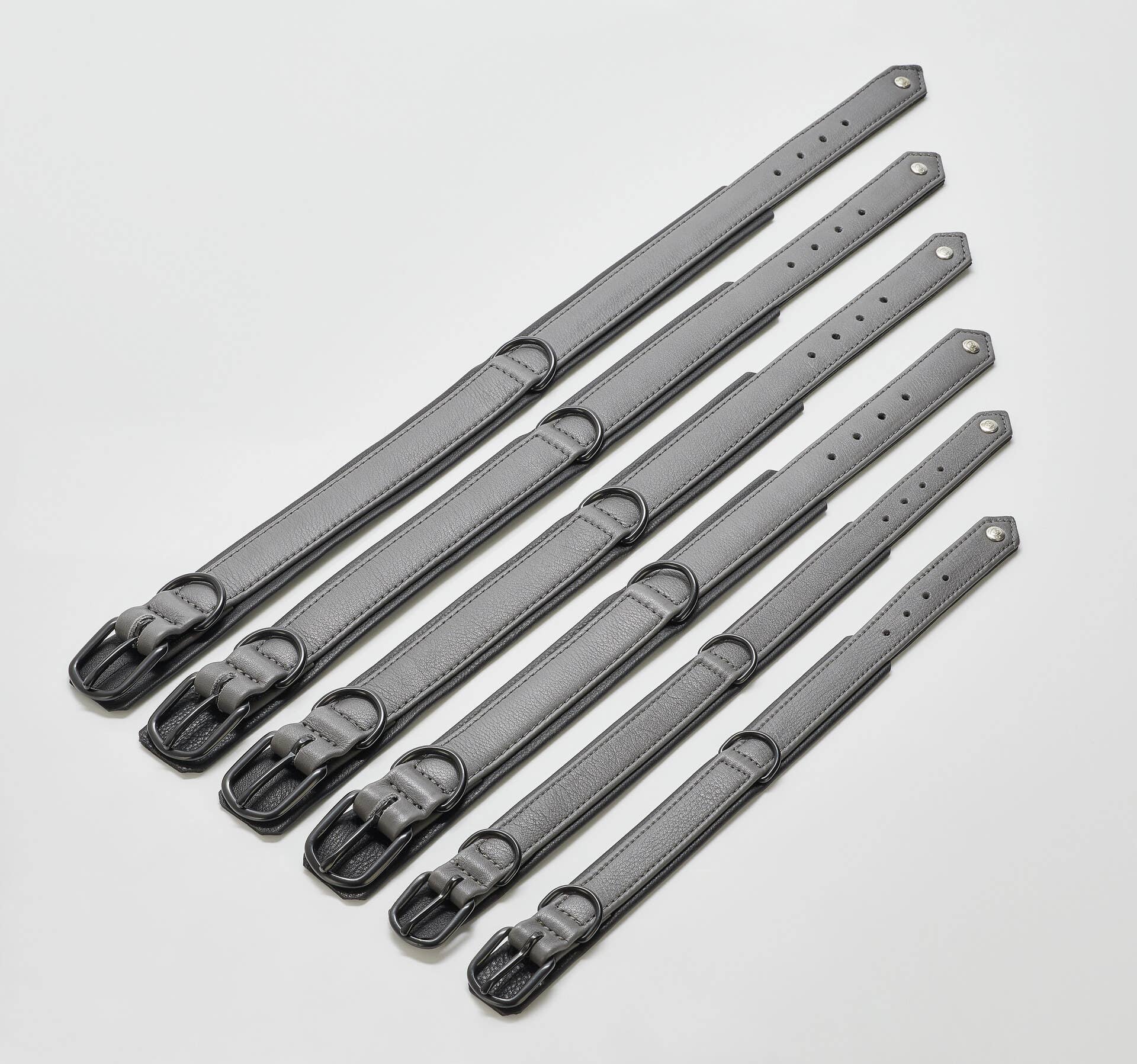 LABONI - Volentis GmbH - Wholesale Pet Collar - Dog - AMICI dog collar36