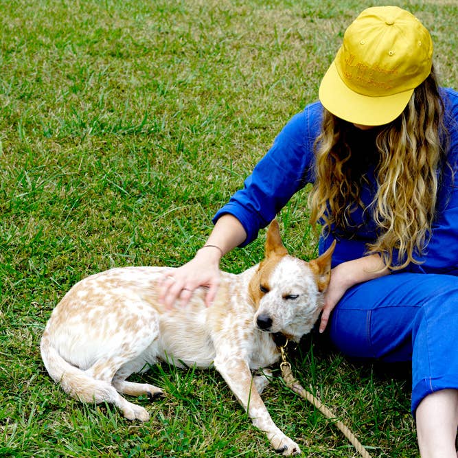 all my friends are animals® - Wholesale Baseball cap – Unisex - all my friends are animals® Original Script Hat2