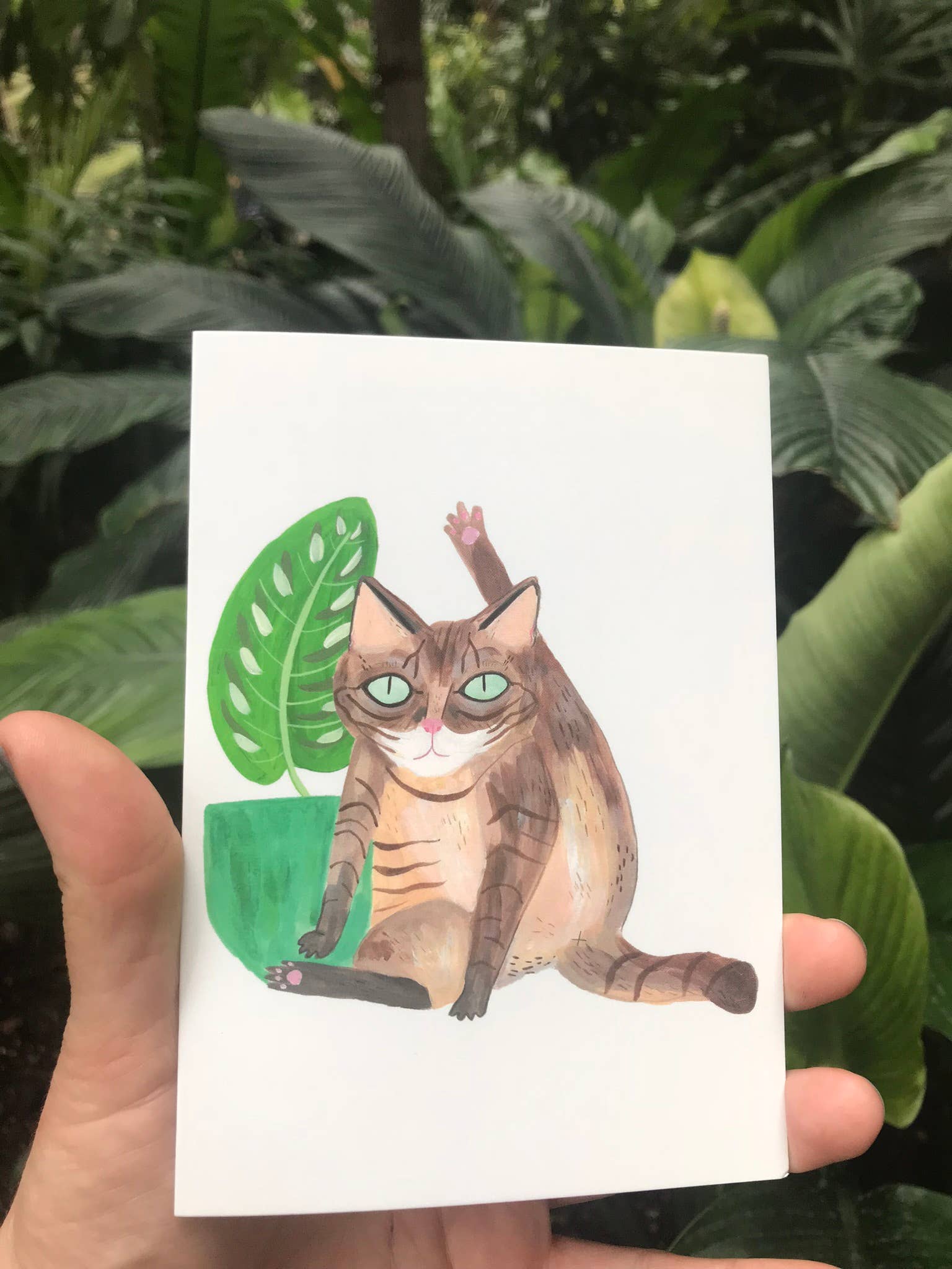 Fernandes Makes - Vente Carte de vœux classique - Carte de vœux amusante au format A6 Cat Licking6