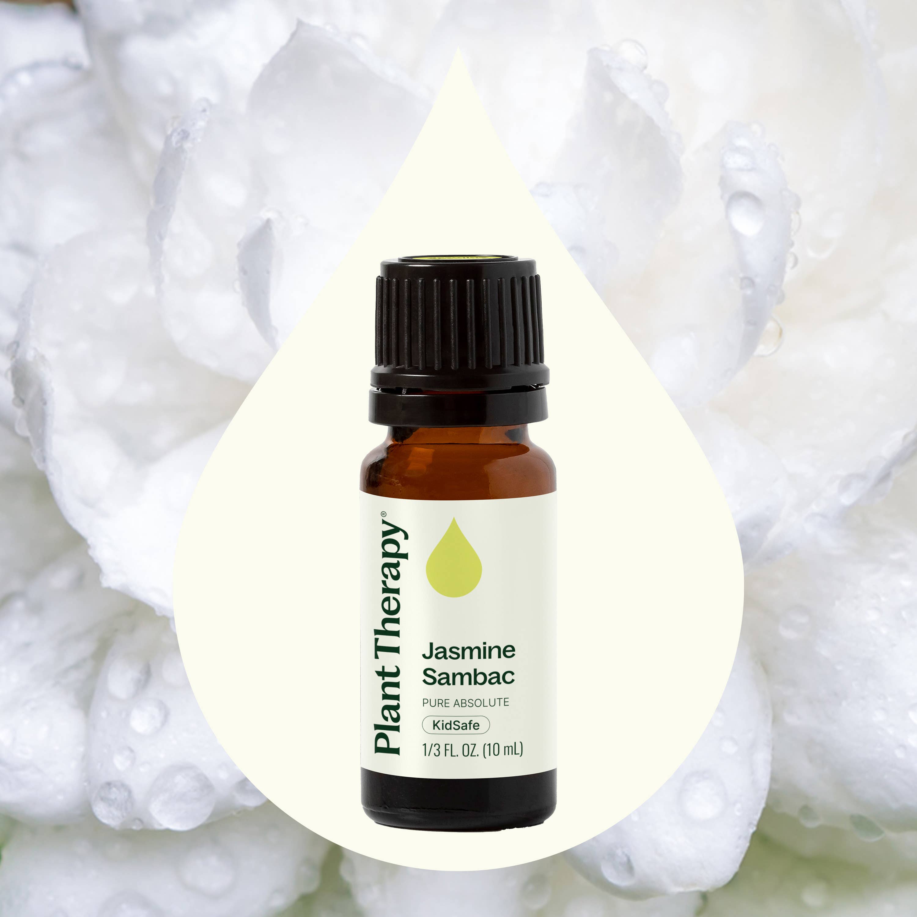 Plant Therapy - Vendita all'ingrosso Olio essenziale - Assoluto Puro di Gelsomino Sambac 10 ml1