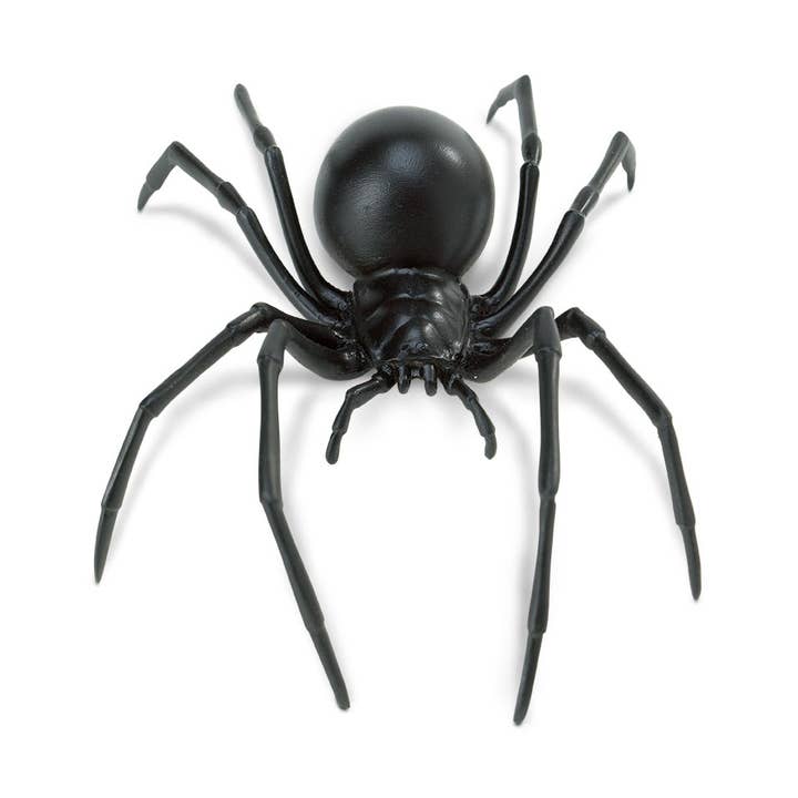 Black Widow Spider - 545406 for wholesale by Safari Ltd.