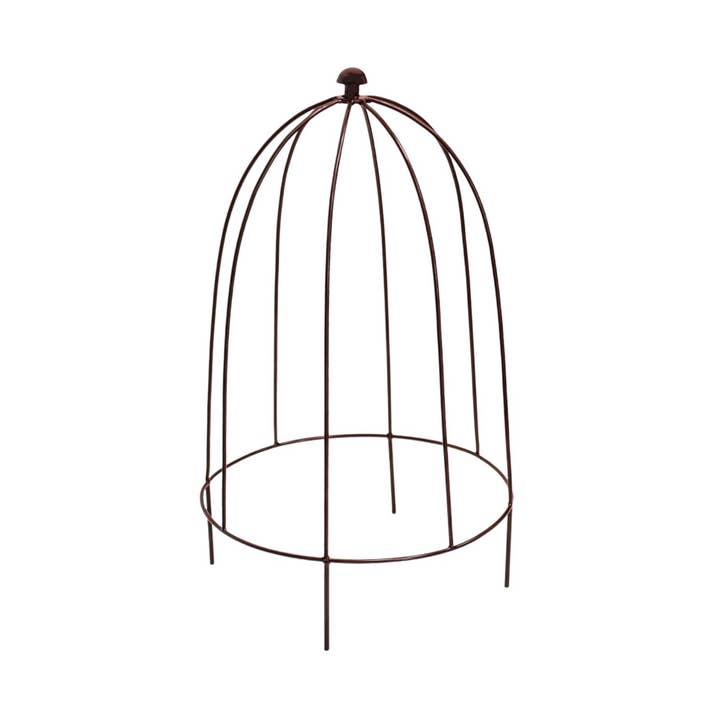 Ivyline International - Wholesale Planting Net/Cover - Outdoor Plant Support H50cm W26cm8