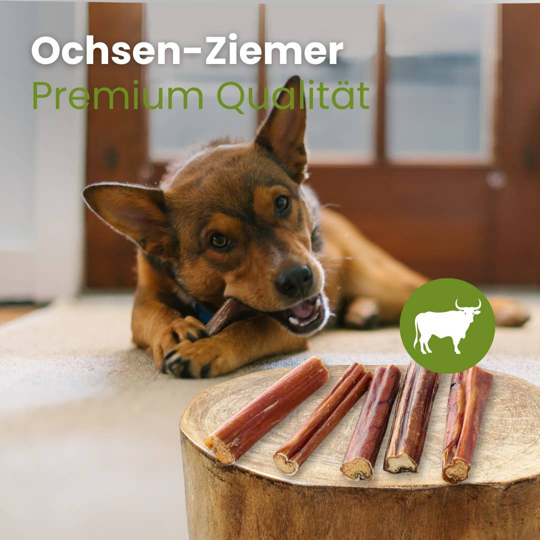 Kauartikel.com GmbH - Wholesale Pet Bone/Rawhide - Dog - Ox-Ziemer premium quality1