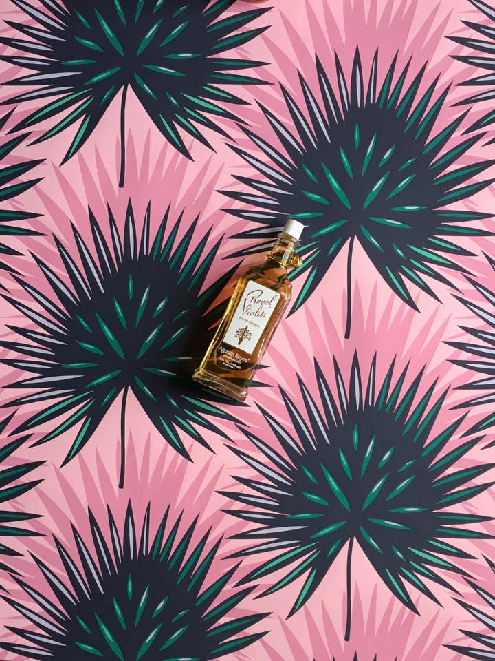 Palmier Petticoat pour la vente par Grow House Grow