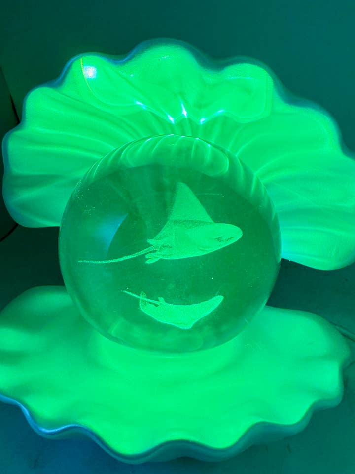 Light Changing Seashell Etched Glass Lamp-Stingray for wholesale by 29 Tonight
