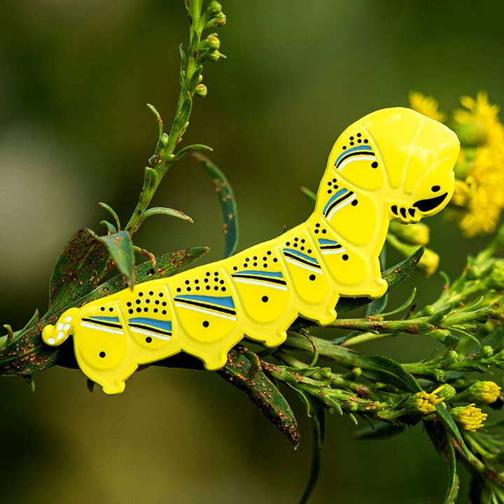 Death's Head Hawkmoth Caterpillar Enamel Pin for wholesale by The Roving House