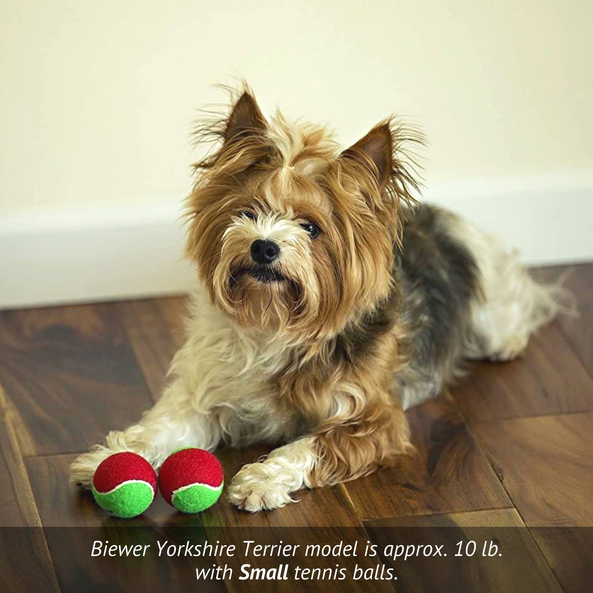 Midlee Designs - Wholesale Pet Fetch Ball - Dog - Midlee Merry Christmas Dog Tennis Balls4