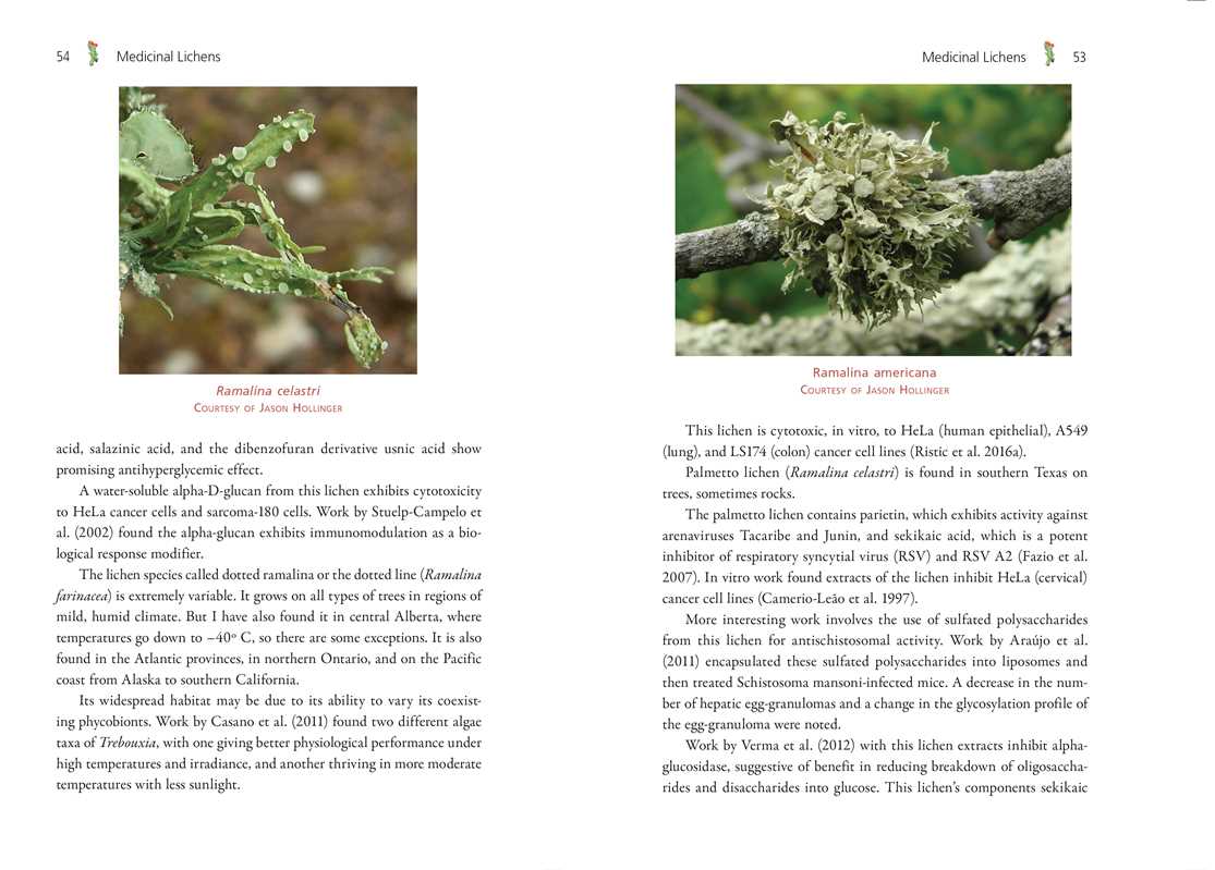 Simon & Schuster - Wholesale Medical Health - Medicinal Lichens by Robert Dale Rogers8