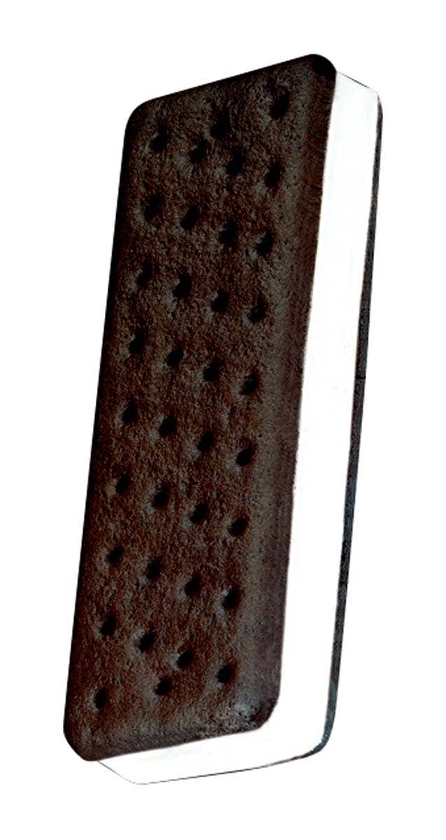 Toysmith - Wholesale Hard Candy - Astronaut Vanilla Ice Cream Sandwich, Vacuum Dried2