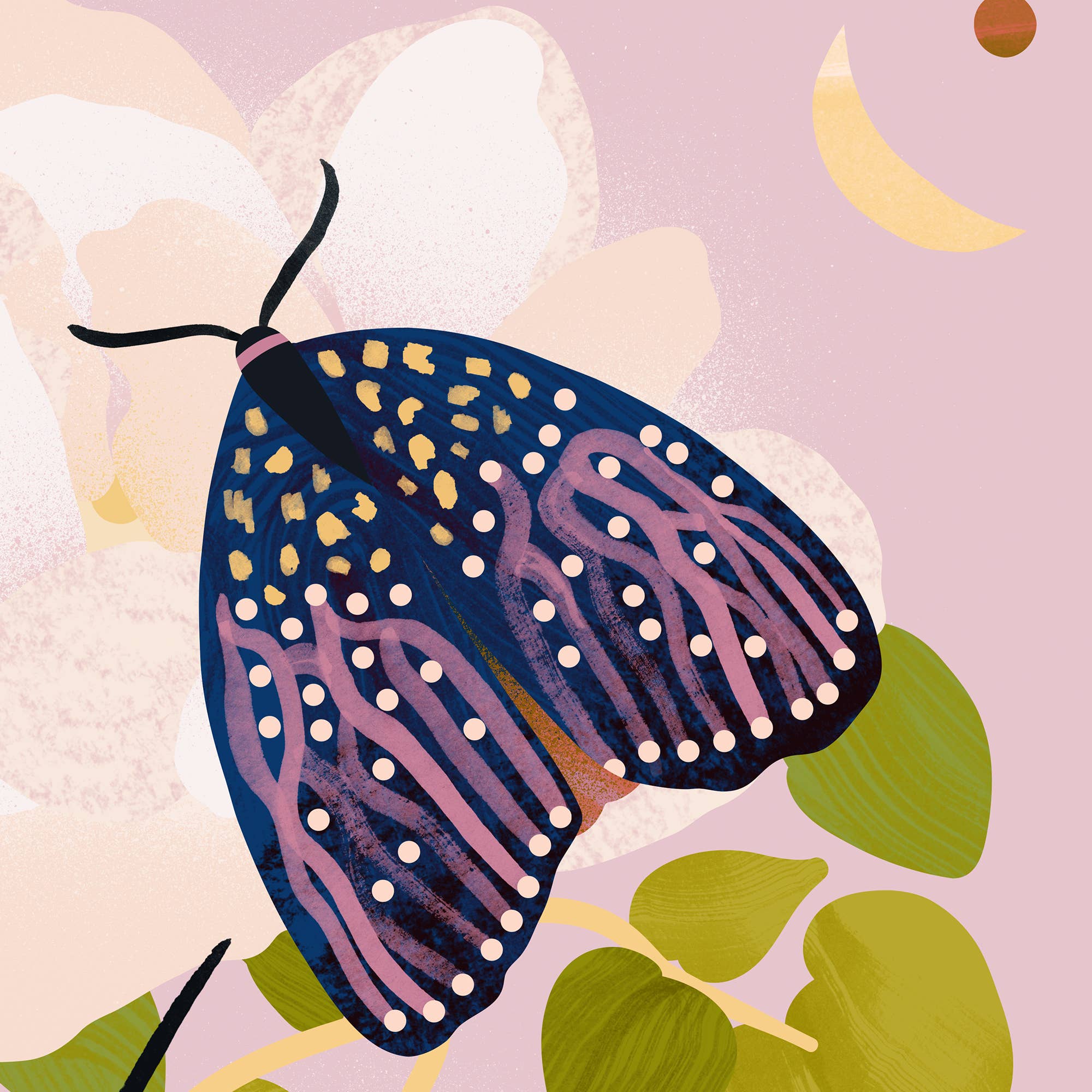 Nat Carroll - Wholesale Art Print - Moths and the Moon — Art Print, Animal Wall Art2