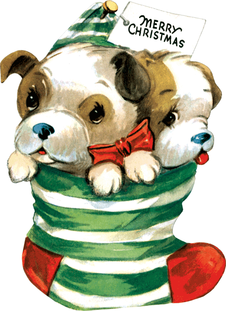 Laughing Elephant - Wholesale Christmas Card - Christmas Cheer - Christmas Greeting Card Packet6