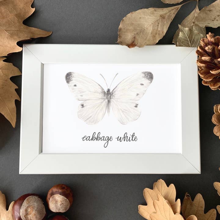 Cabbage White Butterfly Art Print for wholesale by Erica Catherine Illustration