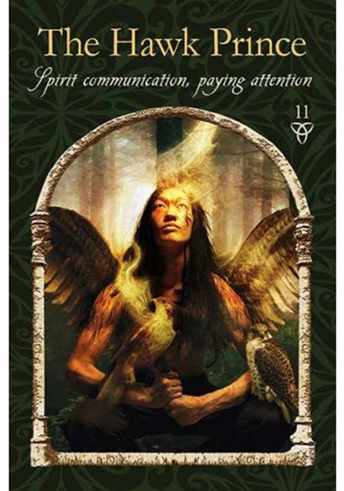 Cardshouse - Wholesale Tarot Cards - Wisdom Of The Hidden Realms Oracle Cards Hay House7
