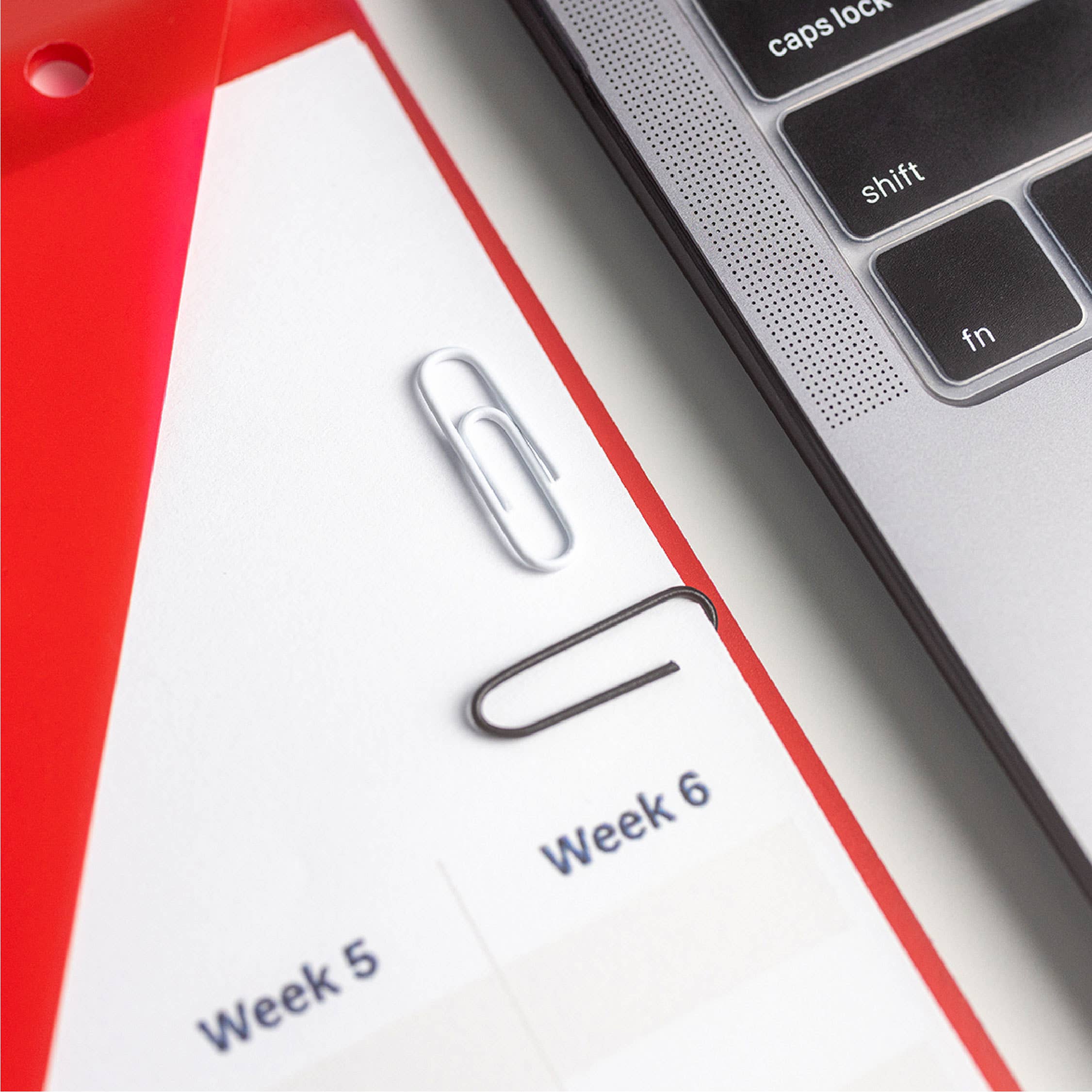 Angora Brands - Wholesale Paperclip - Paper CLips 200 1.75 x .55