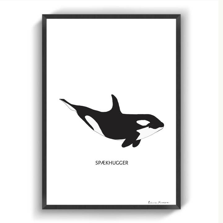 Ballena asesina 2 para venta al por mayor de IMotive