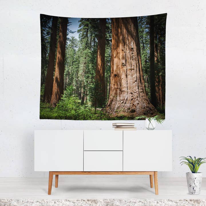 Tapisserie murale de la forêt de séquoias de Californie, beauté captivante des séquoias pour la vente par lostkatphoto