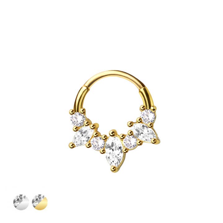 316L CHIRURGENSTAHL MULTI CZ MARQUISE SEPTUM SCHARNIERSEGMENT für den Großhandel von CRAVE