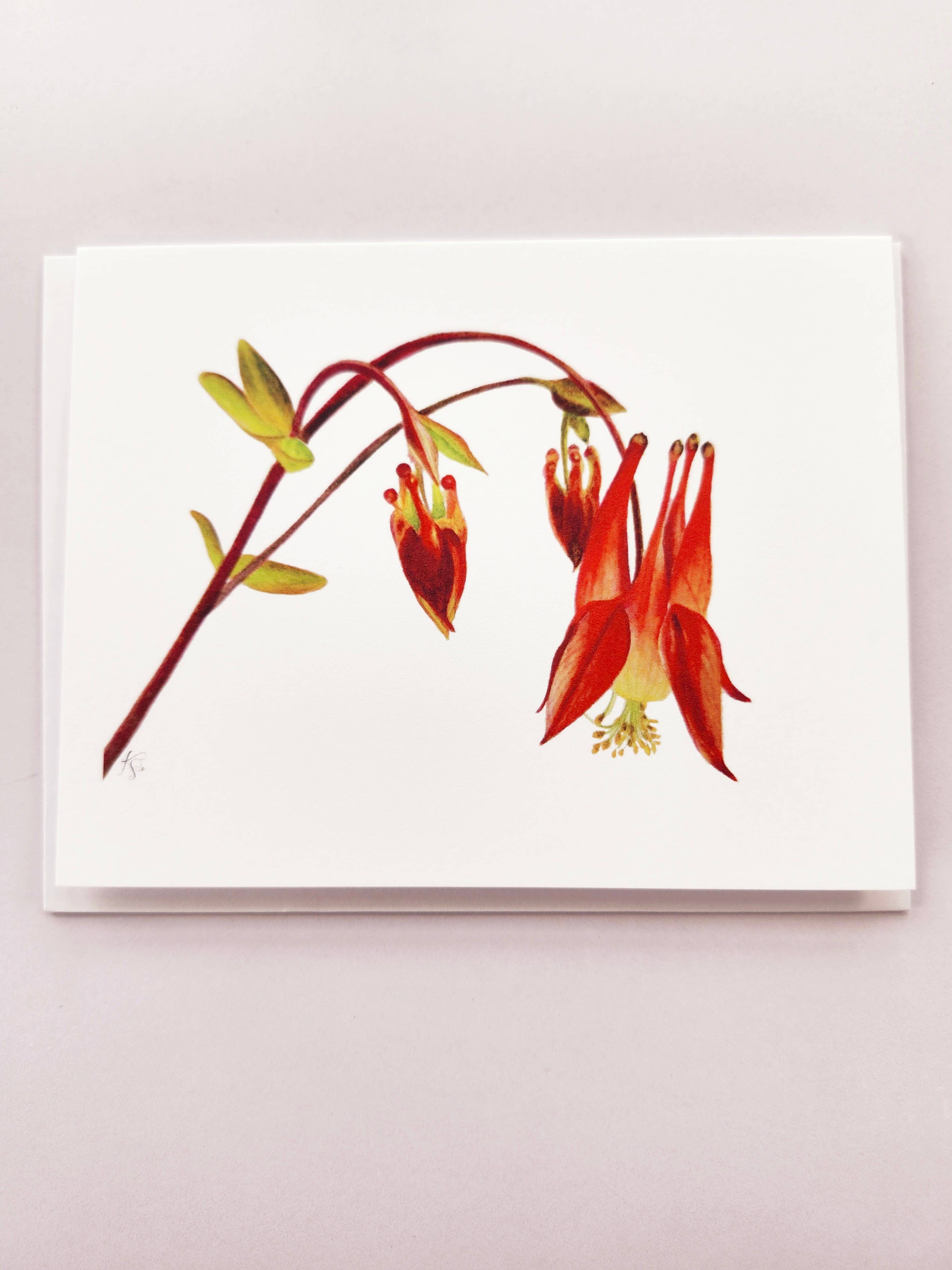 Redbriar Studio - Wholesale Stationery/Notecard Set - Notecards10