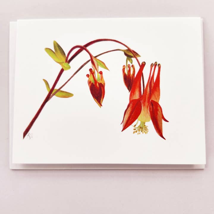 Redbriar Studio - Wholesale Stationery/Notecard Set - Notecards10