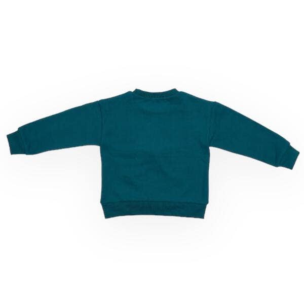 Doe a Dear - Wholesale Sweatshirt - Kids - A85 72236 *LITTLE WHO* Sleeping Star Sweatshirt1