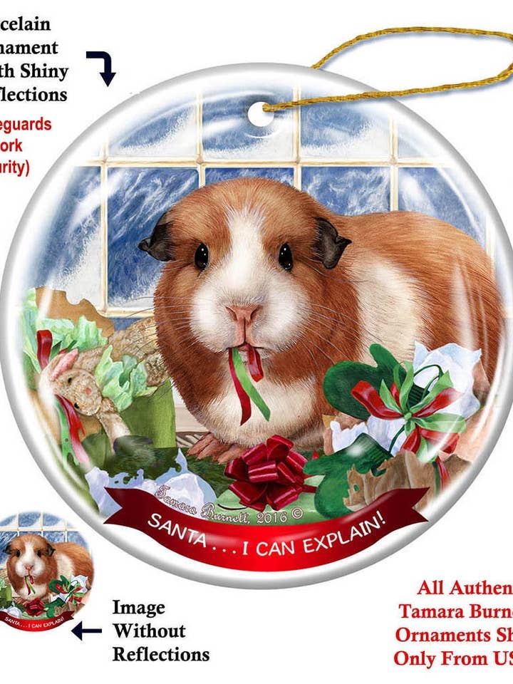 Décoration à suspendre en porcelaine de cochon d'Inde pour la vente par Pet Gifts USA, LLC