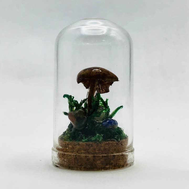 Real Mushroom Curiosity Jar Fungi Oddity Decor 1.75" # 656 for wholesale by Fungus Farm LLC
