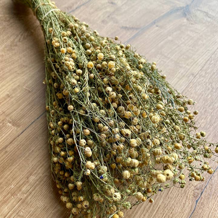Lovejoy Farms Premium Dried Flowers - Wholesale Dried/Pressed Flowers - FlaxÂ