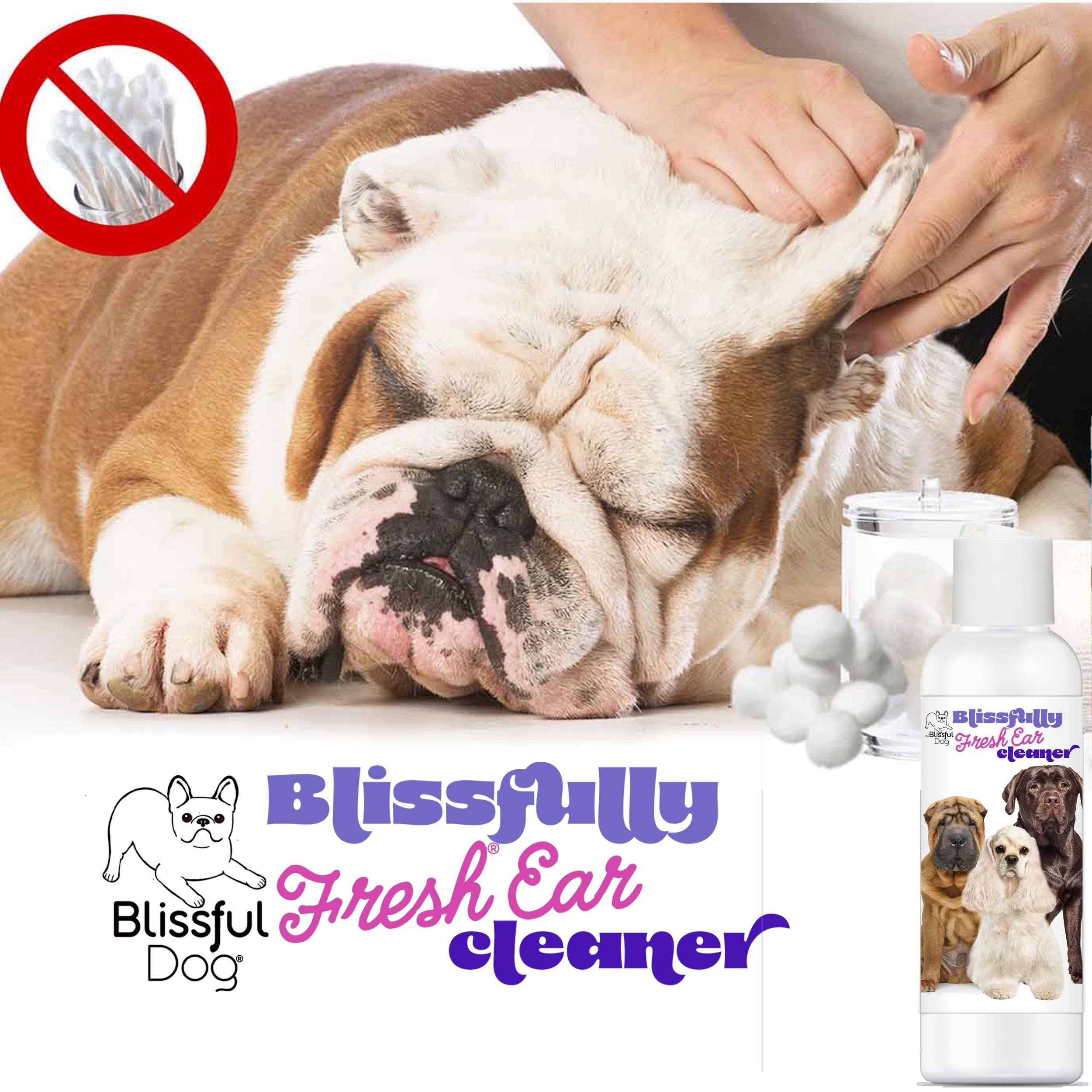 The Blissful Dog - Wholesale Pet Cleaning Supplies - Blissfully Fresh Dog Ear Cleaner in 4, 8, 16 oz3