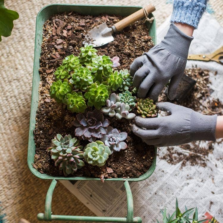 Rustic Reach - Wholesale Planter Box - Decorative Planter Cart Green Metal Cart Planter5